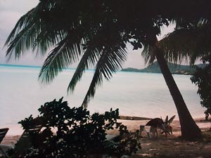 Coucher de soleil de la pension Nono  Bora Bora
