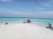 plage de sable fin sur une des iles des Maldives