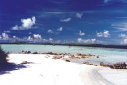 aratika - des plages de sables blancs eclatant devant un laogn bleu turquoise - polynésie francaise
