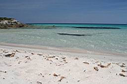 plage de sable blanc de saleccia, au nord de la corse