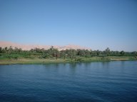 Bords du Nil