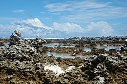 rangiroa, ile des tuamotu en polynesie francaise avec ces plages sublimes et ses decors a couper le souffle