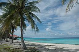 rangiroa, ile des tuamotu en polynesie francaise avec ces plages sublimes et ses decors a couper le souffle