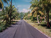 Vue de la seule route de l'atoll de Rangiroa