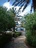 le jardin de l'Hotel Coralia Palm Beach, pres de Sousse - Tunisie