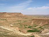 paysage aride, decor du film de la guerre des etoiles - ile de Djerba - Tunisie